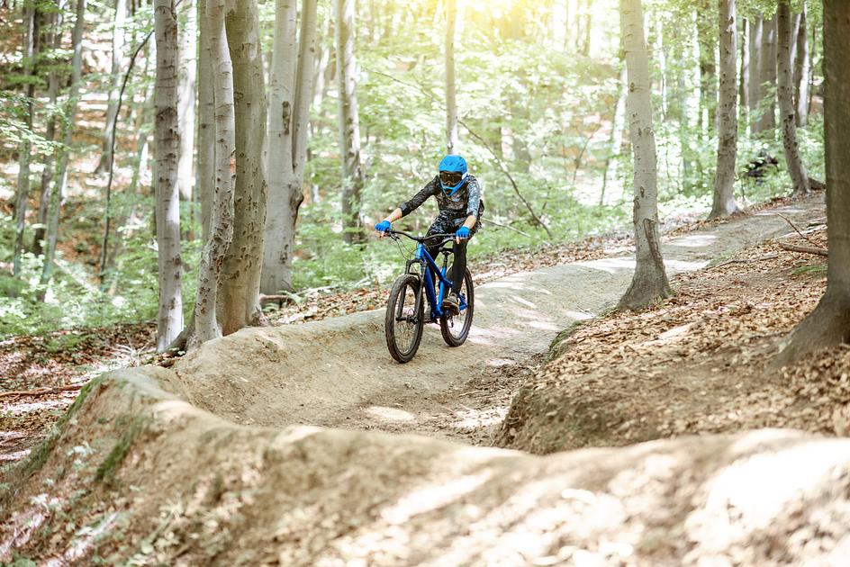 Natura-2000 gebied in Schoorlse Duinen deels vernield door illegale mountainbikeroutes 