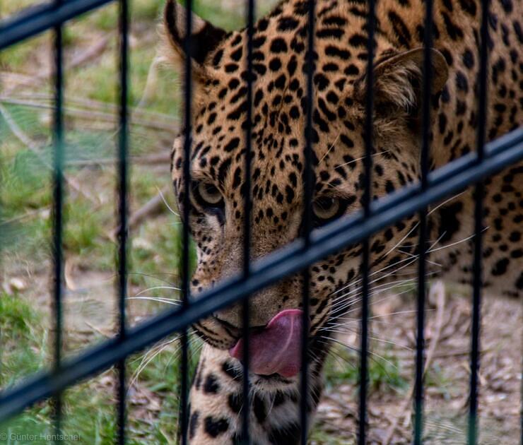 Kamer stelt vragen over dierenwelzijn in Mondo Verde / Foto: "Mondo Verde" door Günter Hentschel