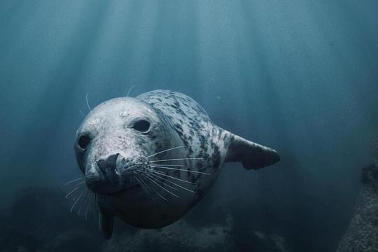 Film over Noordzee deze week te zien in de bioscoop