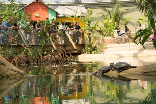 Ruim 1 miljoen mensen passeerden toegangspoort Burgers’ Zoo