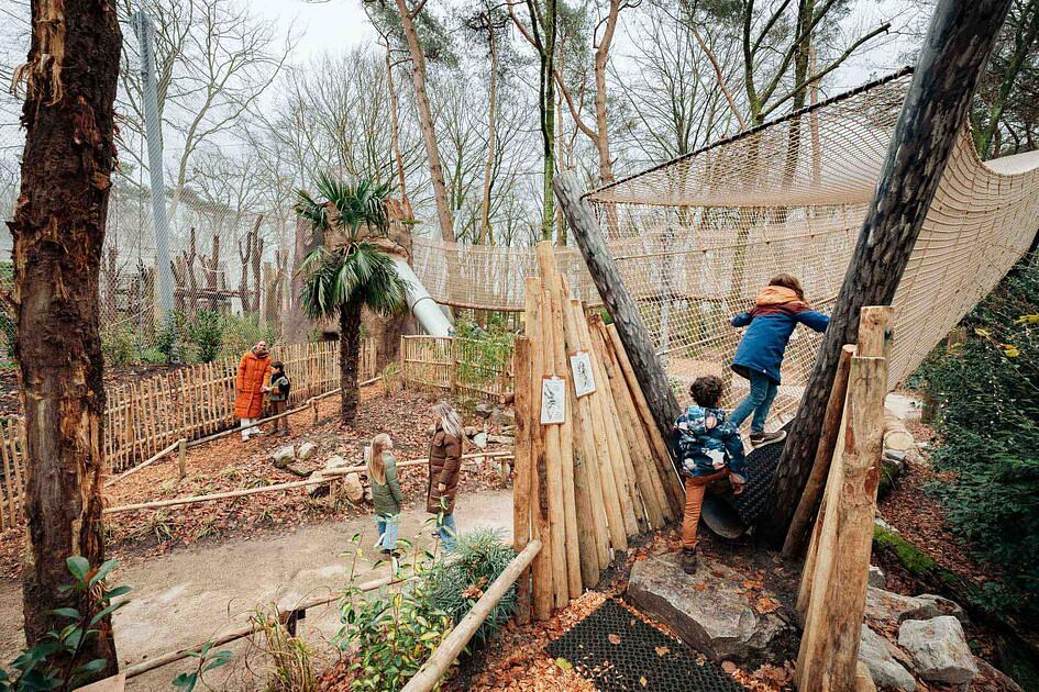 Nieuw themagebied Chimpanseevallei opent in DierenPark Amersfoort