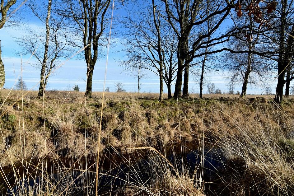 drenthe landschap