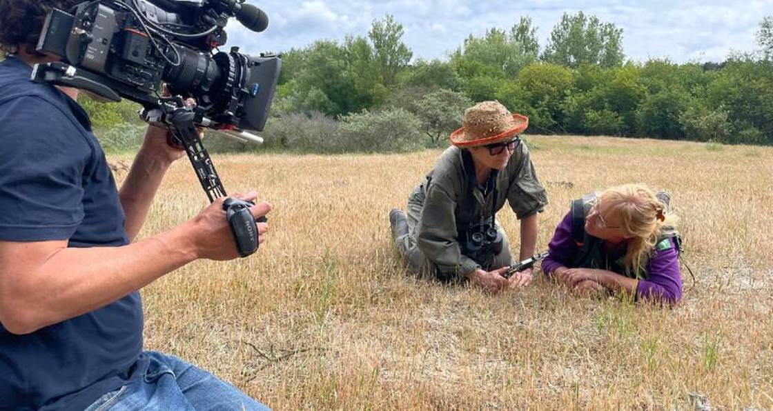 In televisieserie Natuurlijk! krijg je een kijkje in de uitdagingen van Zeeuwse natuur