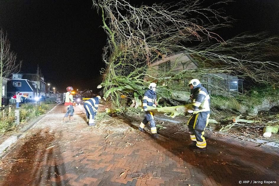 omgevallen boom brandweer