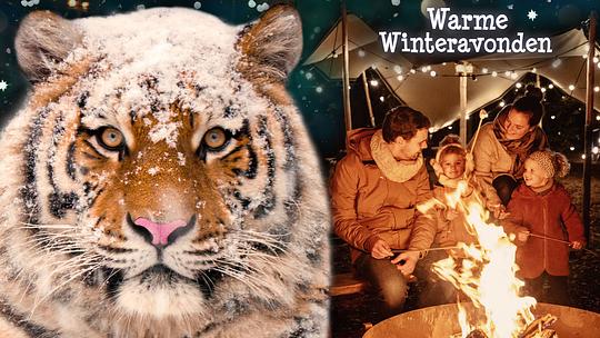 DierenPark Amersfoort deze kerstvakantie in het teken van Warme Winteravonden