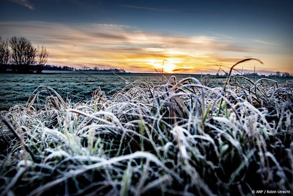 vorst op de grond