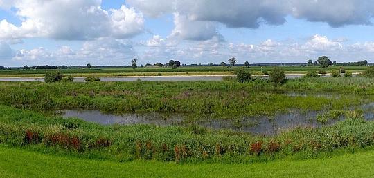 Gemeente Olst-Wijhe wil inzetten op recreatie en toerisme langs de IJssel / Foto: "IJssel met uiterwaarden ten noorden van Wijhe" door JopkeB