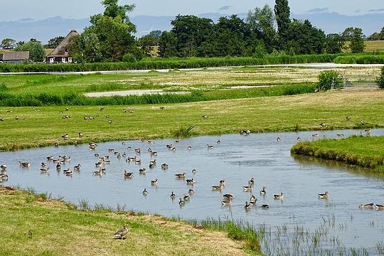 Boer John en natuurliefhebbers gaan een nieuw natuurgebied aanleggen / Foto: "De Kolk van Dussen tussen Aartswoud en Lambertschaag" door Gouwenaar