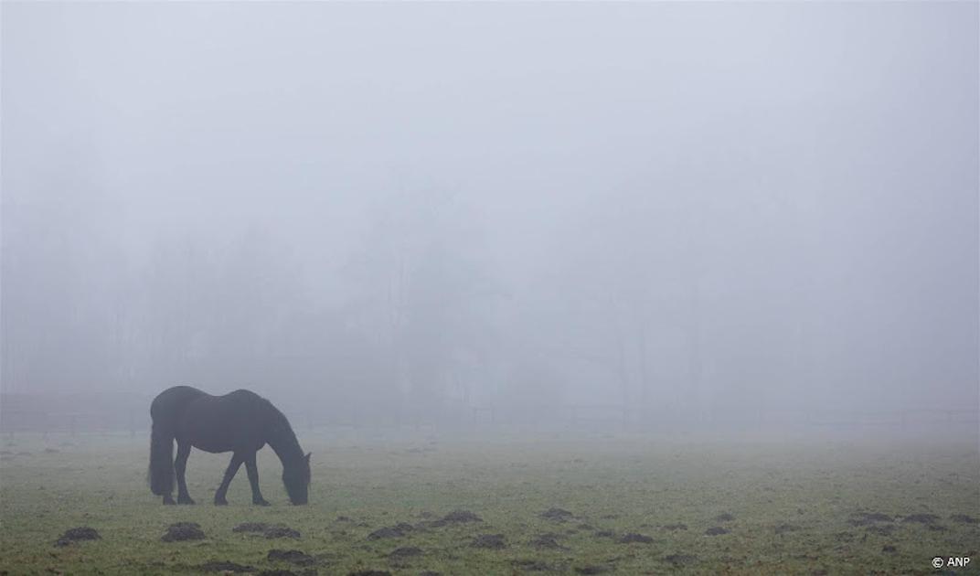 mist landschap