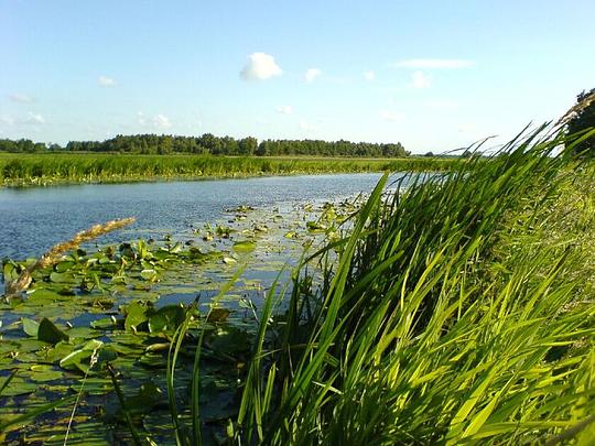 Wandelnet en ANWB willen Nationale Boerenlandpadenregeling / Foto: "Boerderij langs De Meije" door TijsB