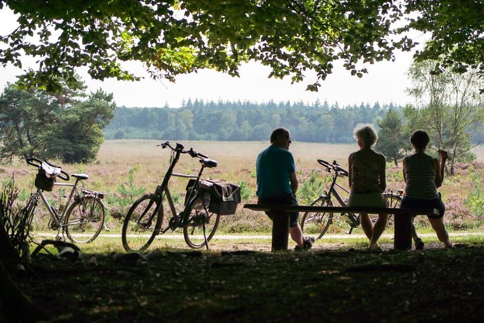 Dit zijn de populairste binnenlandse vakantiebestemmingen