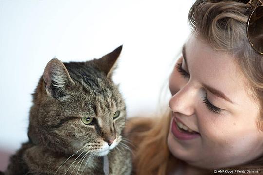 Publiek mag filmpjes van kat insturen voor aftiteling Dikkie Dik