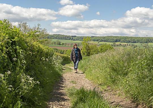 Zuid-Limburg werkt mee aan Europees initiatief voor duurzaam toerisme / Foto: "Wandelaarster nabij Epen - Zuid-Limburg - NL" door Frans Berkelaar