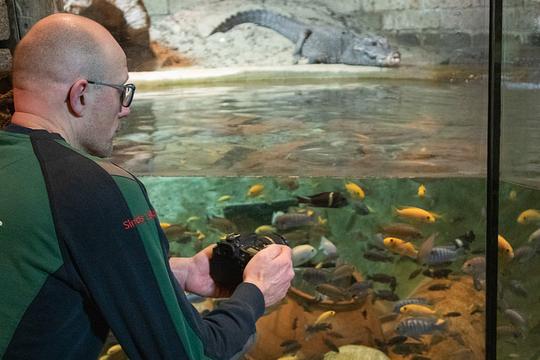 Jaarlijkse diertelling DierenPark Amersfoort geeft nauwkeurig overzicht van collectie