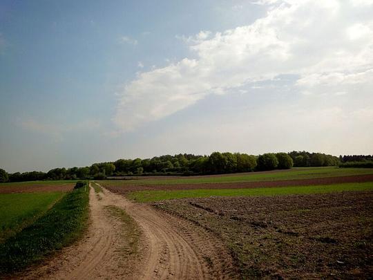 Noord-Holland trekt 11,5 miljoen uit voor natuurbeheer en -aanleg / Foto: "Velden en akkers" door E. Dronkert 