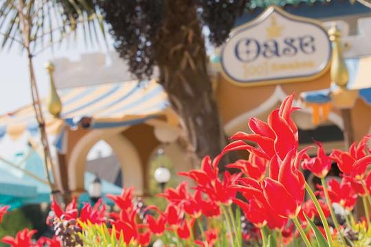 Efteling gaat pakken gebruiken vanwege gesteggel met statiegeldblikjes / Foto: de Efteling