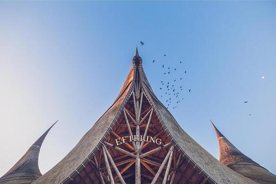 Ietwat andere openingstijden Efteling dit weekend / foto: efteling