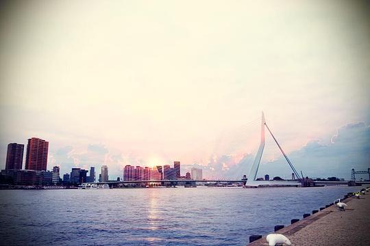 Foto van Rottterdam met Erasmusbrug in de verte