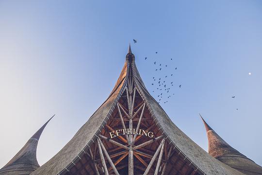 Efteling komt in de buurt van maximumaantal bezoekers  / Foto: Efteling