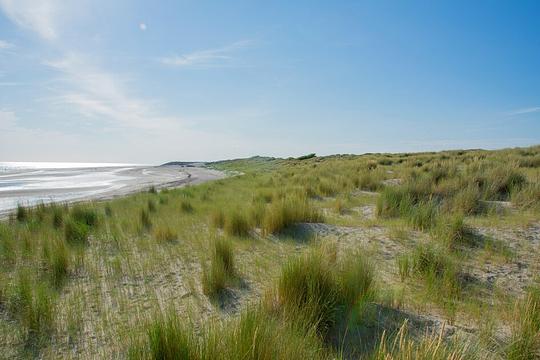 Zeeland treedt handhavend op tegen vakantiepark zonder natuurvergunning