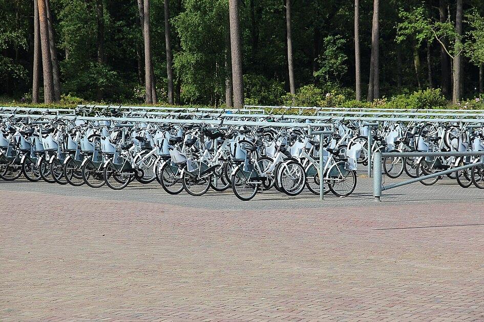 Mensen gedragen zich bijna altijd goed in bossen, maar nog niet altijd / Foto: "Witte fietsen bij het bezoekerscentrum in Nationaal Park De Hoge Veluwe" door Richard Broekhuizen