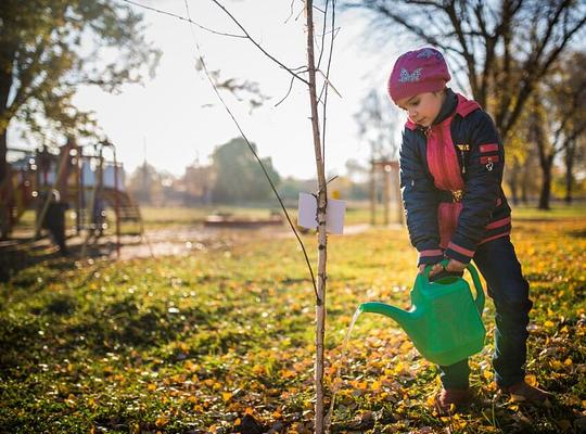 Tuintegels wippen voor gratis planten in Haarlem