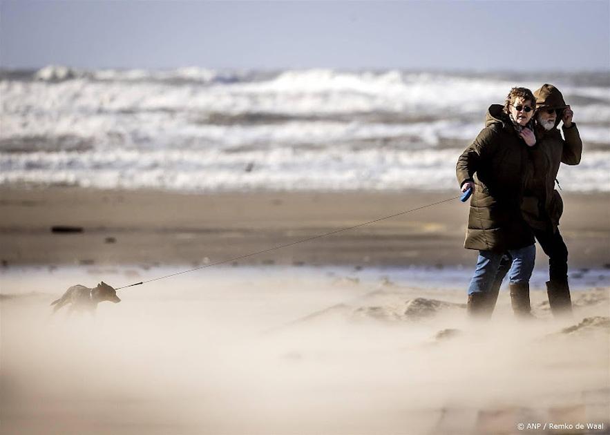 mensen op strand met wind 