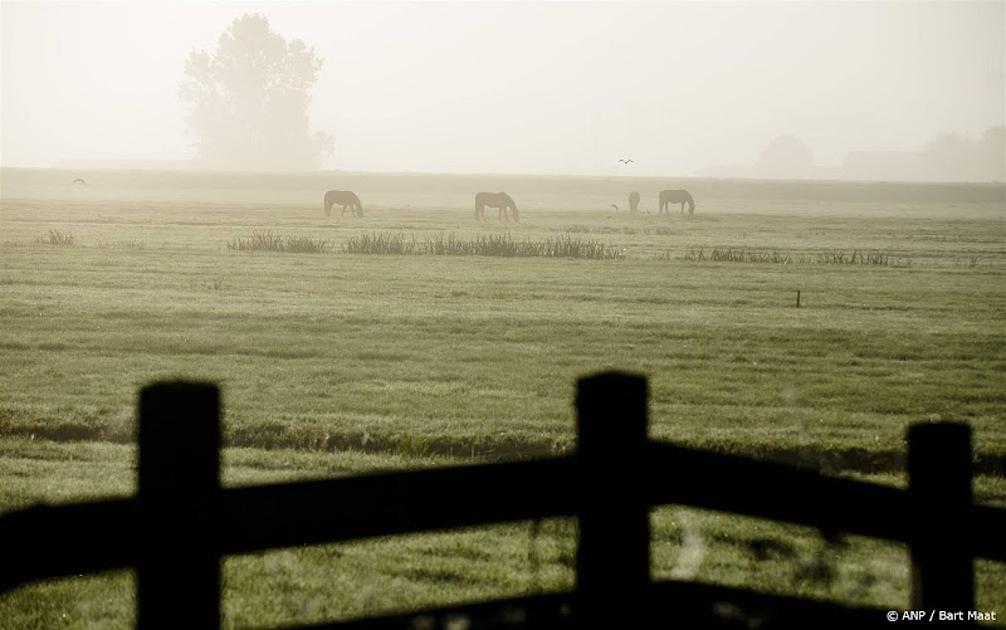 mistig landschap