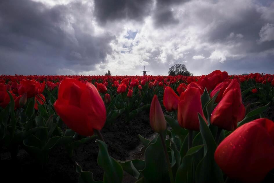 storm nederland