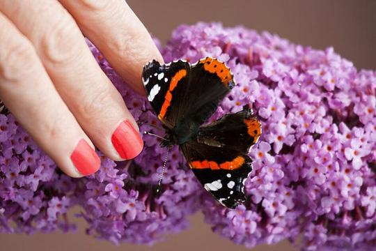 Training Natuurinclusief ondernemen in Gelderland