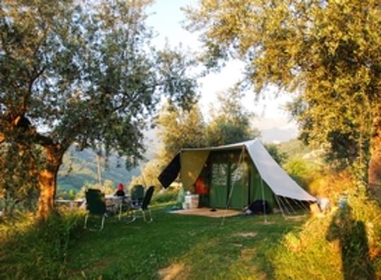  Camping de Paal verkozen tot beste camping van het land