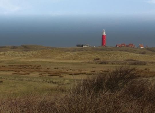 Texel worstelt met grote aantallen toeristen op eiland