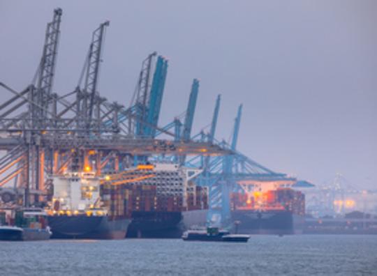 Natuurorganisaties spannen rechtszaak aan tegen overheid wegens Tweede Maasvlakte