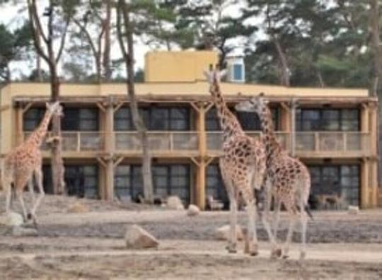 Safari Hotel Beekse Bergen officieel geopend tijdens feestelijke ceremonie