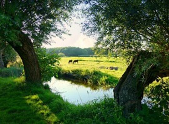 Natuurorganisaties bieden toekomstperspectief voor agrarische ondernemers