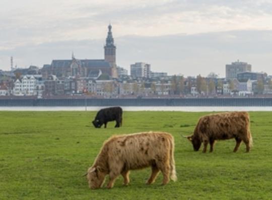 Verplaatsen van poppodium in Nijmegen stuit op verzet buurtbewoners