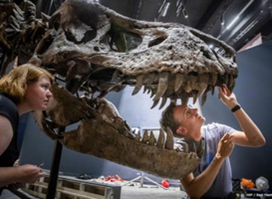 Museum Naturalis had meeste bezoekers ooit in 2022