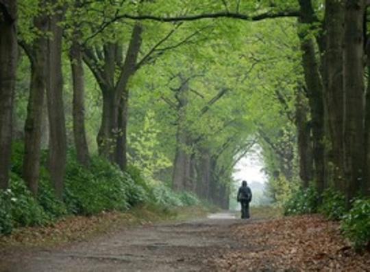 Overijssel is de meest verassende toeristische bestemming dit jaar