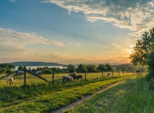 Plattelandsrecreatie in trek door maatschappelijke ontwikkelingen