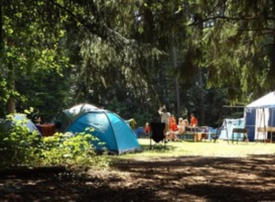 Vijfsterrencamping? ANWB gaat weer campinginspecties doen