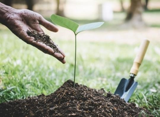 Camperclub NKC plant 125 bomen ter compensatie van CO2-uitstoot