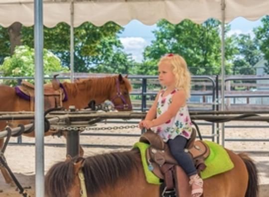 Geen pony's meer op Tilburgse kermis vanaf 2023