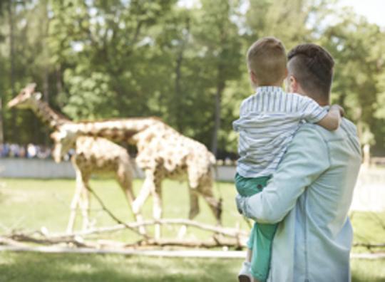 Dierentuin Artis viert 185-jarig bestaan met speciale activiteiten in mei