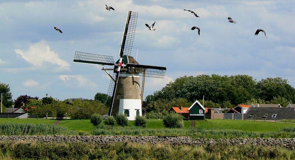 ‘Vakantiepark Zuytland moet woonwijk worden’ / Foto: "Molendag / Zuidland" door Roel van Deursen - Spijkenisse / Nissewaard - Nederland