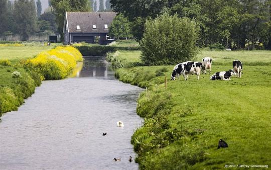 Alternatief natuurplan: boeren moeten slechtste natuur herstellen