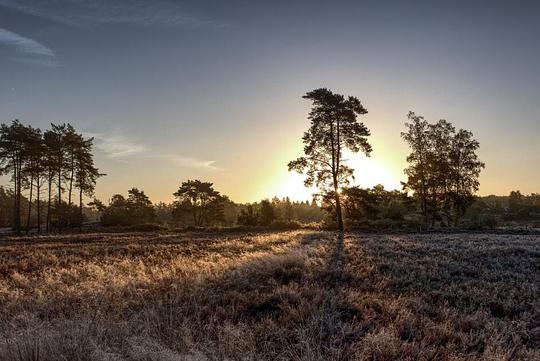 Recreatiegebied Den Treek deels afgesloten vanwege incident met wolf / Foto: "Sunrise at Den Treek" door Johan Siegers