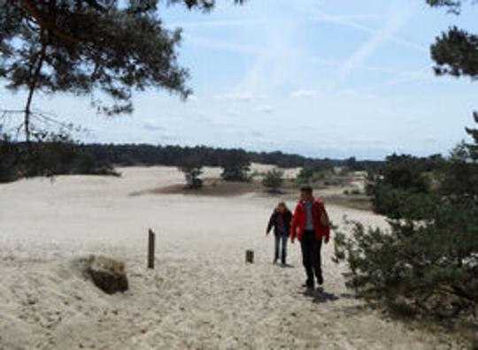 Ondernemers op de Veluwe zoeken balans tussen recreatie en natuur