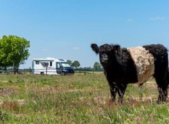 Nieuwe camperplaats pal tussen de koeien en planten 