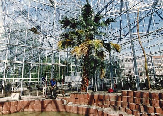 Hortus Botanicus Amsterdam sluit grootste kas voor renovatie