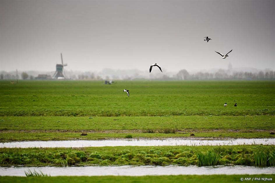 Outdoor landschap